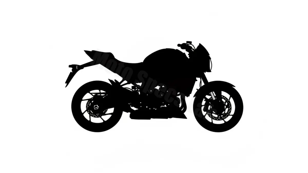 Suzuki GSX-S 1000 Power Edition - GSXS10PE/25 Workshop Data: Fluids, Plugs & Tires specs